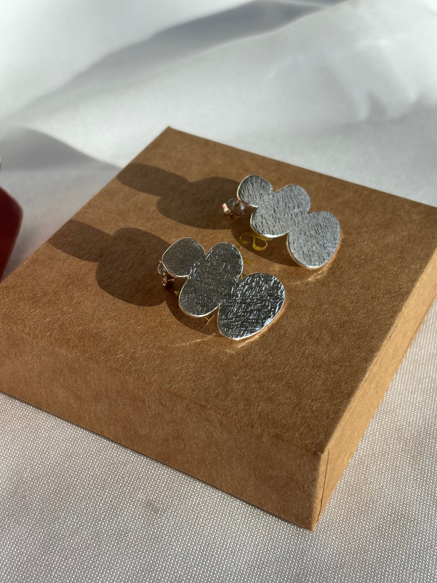 Boucles d’oreilles Roca - Argent massif